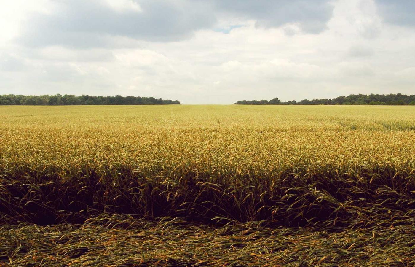 Modern intercity train at a station platform